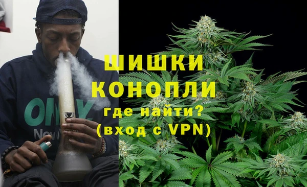 винт Алзамай