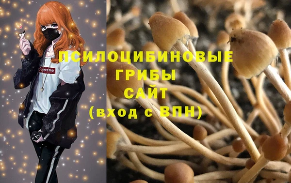 дживик Покровск
