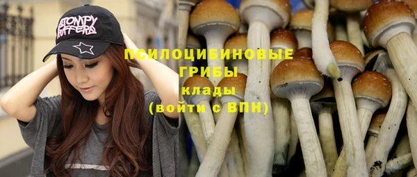 винт Алзамай