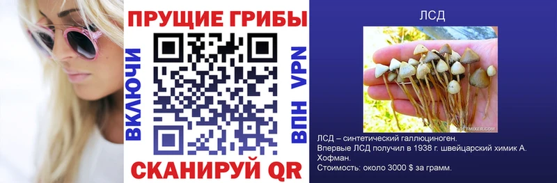 Псилоцибиновые грибы GOLDEN TEACHER  shop формула  Яровое 